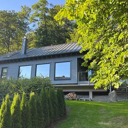 Hercynia Lodge Bad Lauterberg Kültér fotó